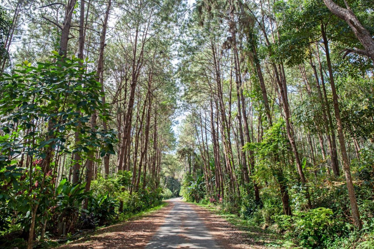 Khaokhoherbary Organicfarm&Resort Khao Kho Εξωτερικό φωτογραφία