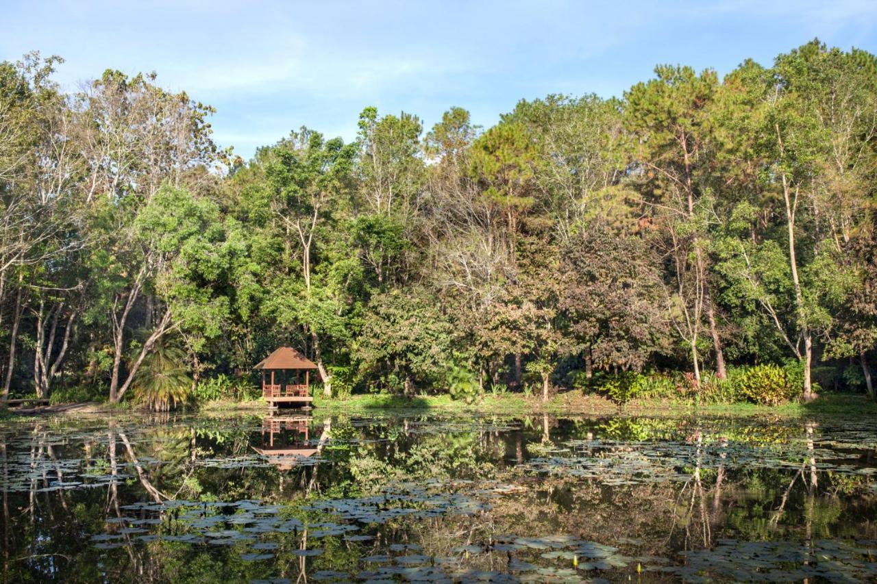 Khaokhoherbary Organicfarm&Resort Khao Kho Εξωτερικό φωτογραφία