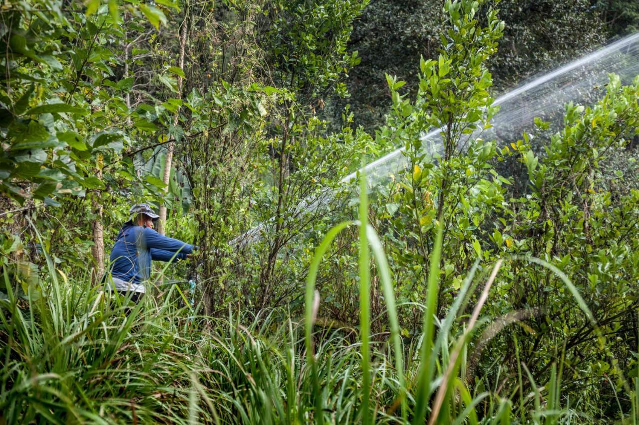 Khaokhoherbary Organicfarm&Resort Khao Kho Εξωτερικό φωτογραφία