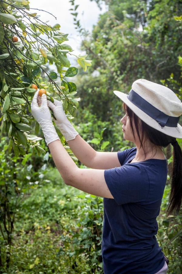 Khaokhoherbary Organicfarm&Resort Khao Kho Εξωτερικό φωτογραφία