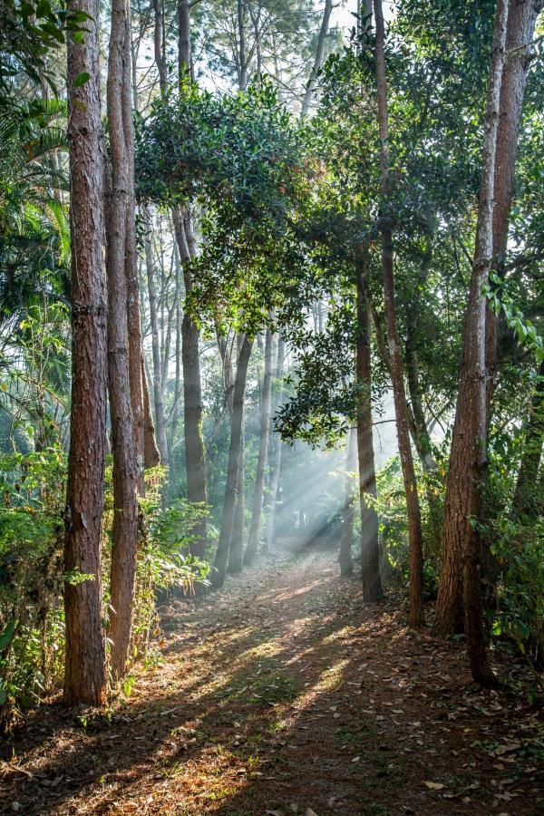 Khaokhoherbary Organicfarm&Resort Khao Kho Εξωτερικό φωτογραφία